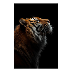 Póster Retrato Majestoso do Tigre, Força e Confiança Real