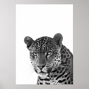 Poster Retrato Moderno de Jaguar na Selva preto e branco