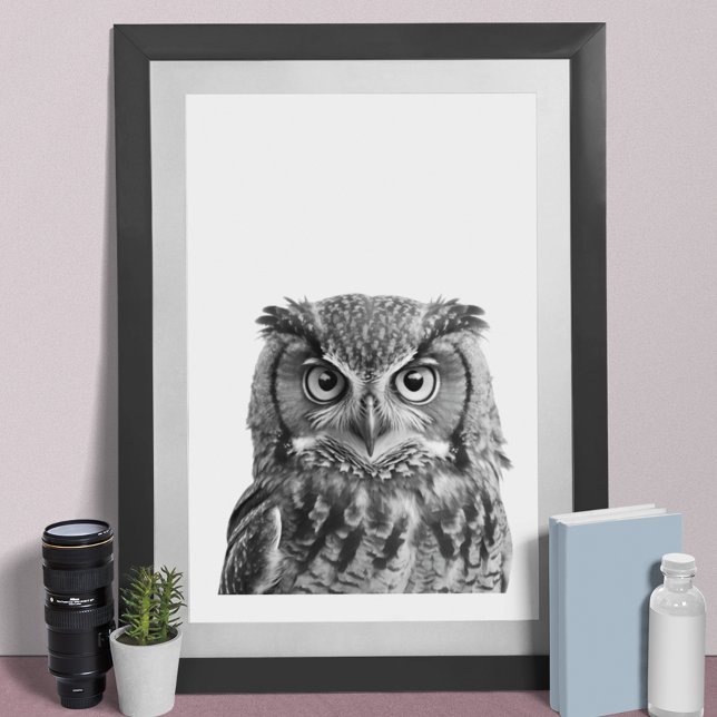 Poster Retrato moderno de Owl Woodland preto e branco  (Criador carregado)