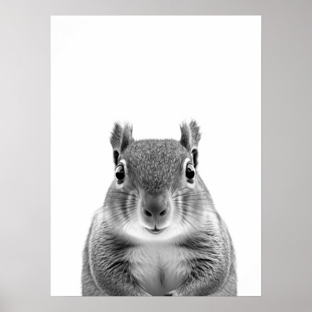 Poster Retrato moderno em preto e branco de Squirrel Wood (Frente)