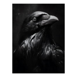 Póster Retrato Monocromático de Corvo