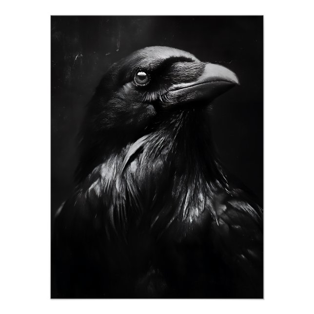Póster Retrato Monocromático de Corvo (Frente)