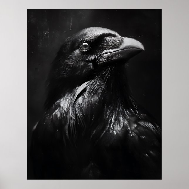 Poster Retrato Monocromático de Corvo (Frente)