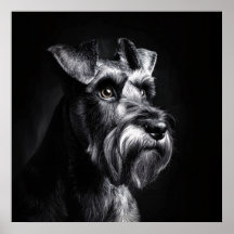 Retrato Monocromático de Schnauzer