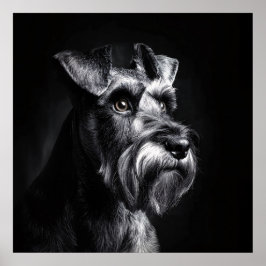 Poster Retrato Monocromático de Schnauzer