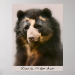 Póster Retrato nobre de Bubu