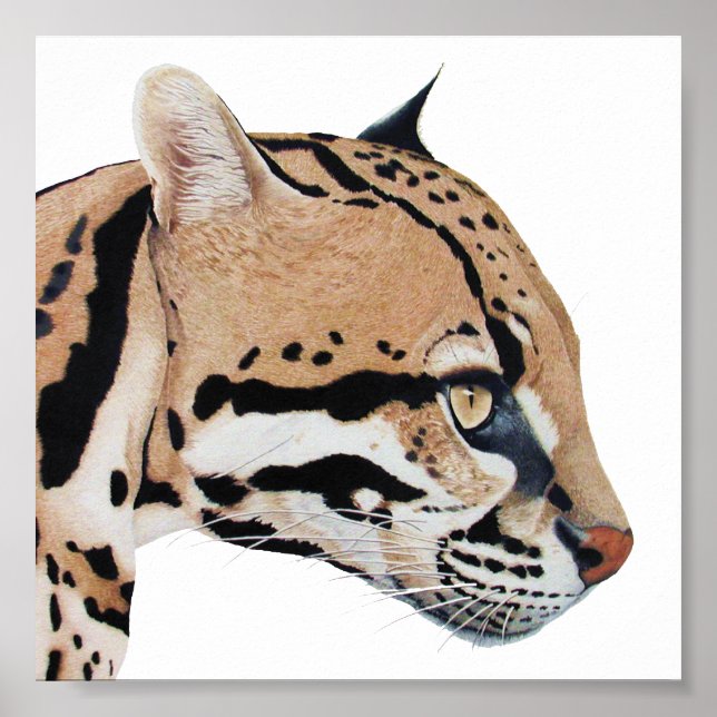 Póster Retrato Ocelot (Frente)