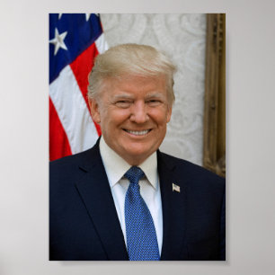 Poster Retrato Oficial do Presidente Donald Trump 2017