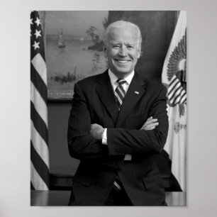 Poster Retrato Oficial do Vice-Presidente Joe Biden - 201