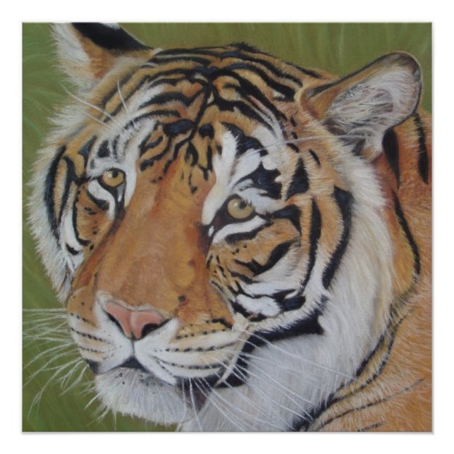 Póster retrato original da fauna selvagem do tigre (Frente)