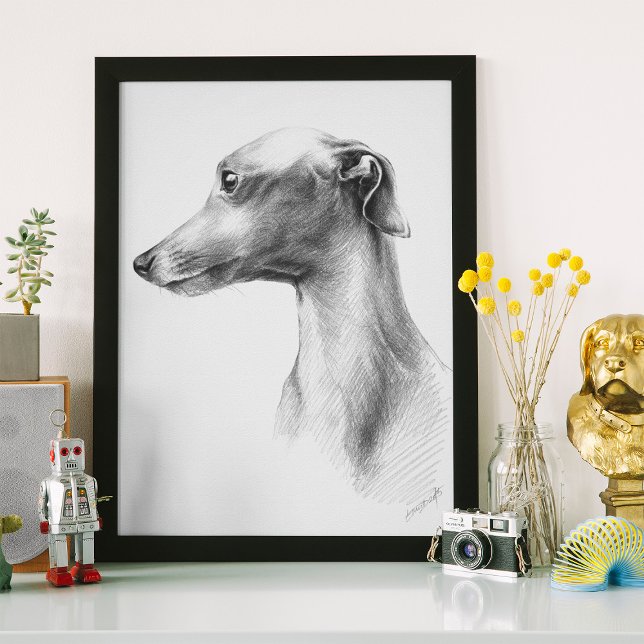 Poster Retrato para o cão de bico branco italiano (Criador carregado)