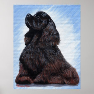 Póster Retrato preto do cão de cocker spaniel