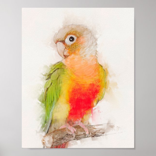 Poster Retrato Verde Cheek Conure (Frente)