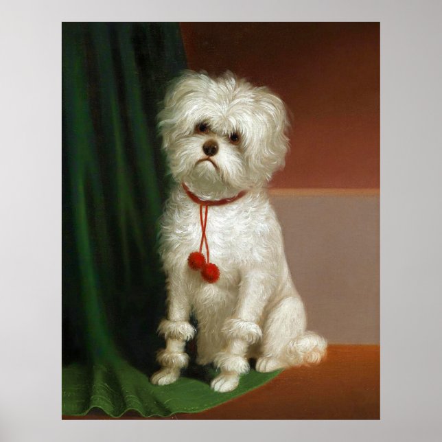 Poster Retrato Vintage De Um Cachorro Branco (Frente)