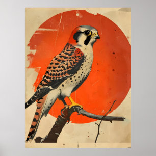 Poster Retrato Vintage do americano Kestrel