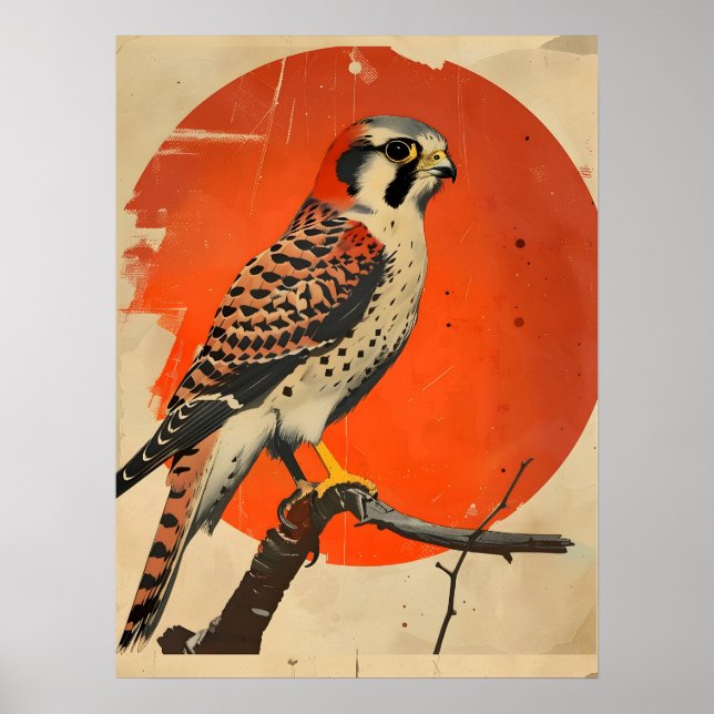 Poster Retrato Vintage do americano Kestrel (Frente)