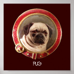 Poster RETRATOS MINIATURA DE CÃES VITORIANOS Pug