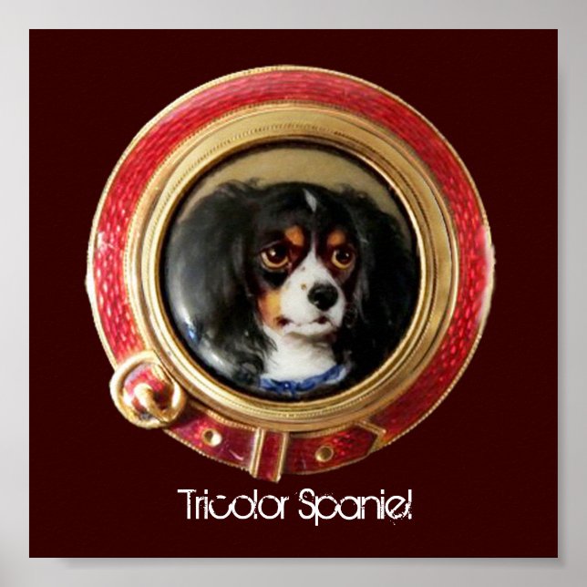 Póster RETRATOS MINIATURA VITORIANOS DE CÃES Spaniel Tric (Frente)