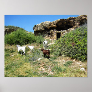 Poster Retreat de Goat