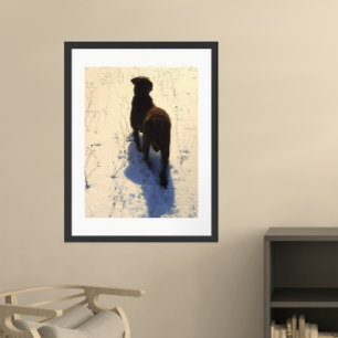 Póster Retriever de Baía de Chesapeake