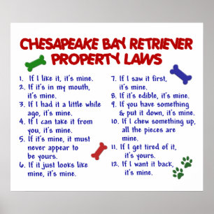 PÓSTER RETRIEVER DE BAÍA DE CHESAPEAKE PL2