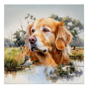 Póster Retriever de ouro