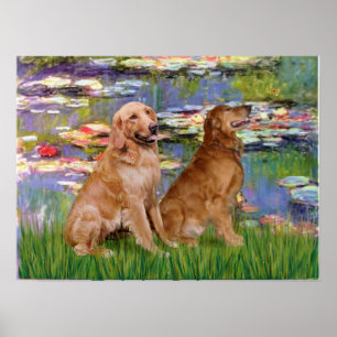 Póster Retriever de ouro (dois) - Lírios 2