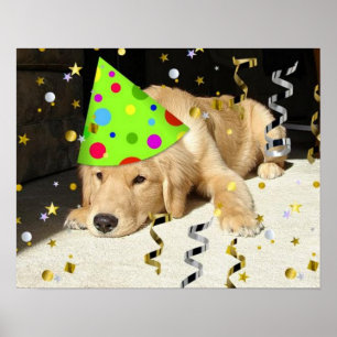 Póster Retriever de Ouro festa de aniversário