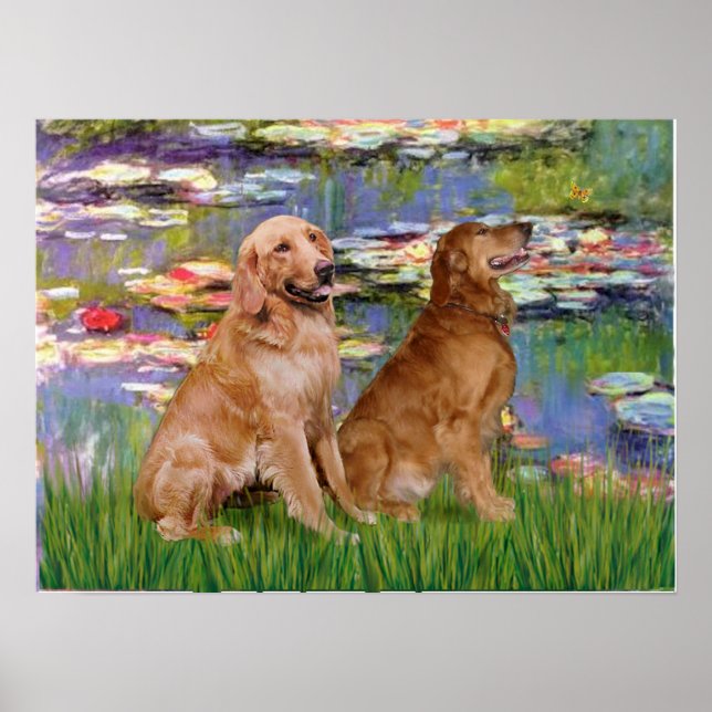 Póster Retriever Dourado (dois) - Lírios 2 (Frente)