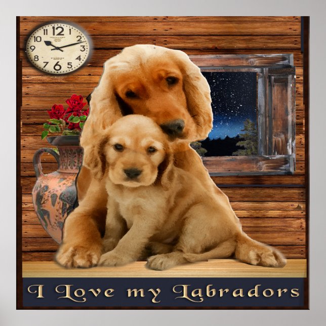 Poster Retriever Labrador (Frente)