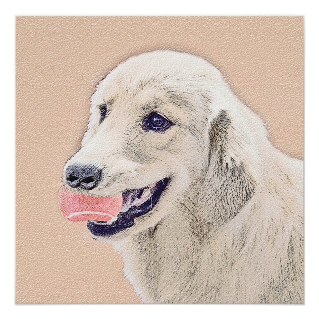 Póster Retriever ouro com pintura de cachorro de Tênis (Frente)