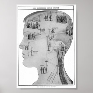 Poster Retro-educacional