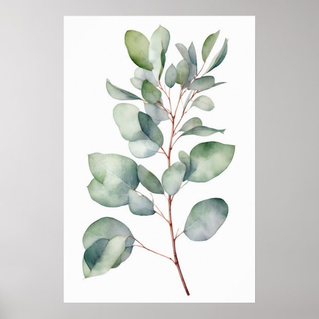 Poster Retro Eucalyptus Impressão, Warercolor Eucalyptus (Frente)