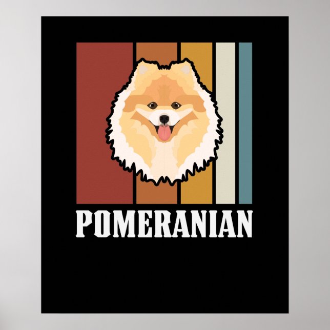 Poster Retro Pomerano Sorridente (Frente)