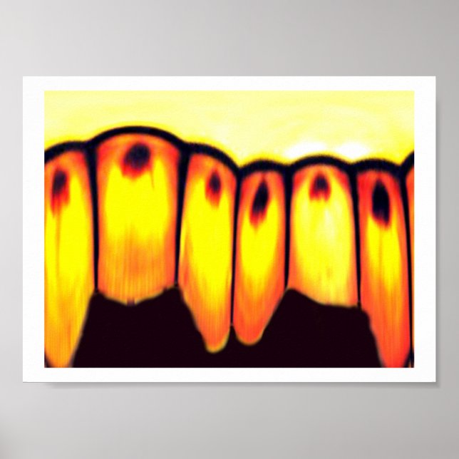 Póster reunião (Frente)