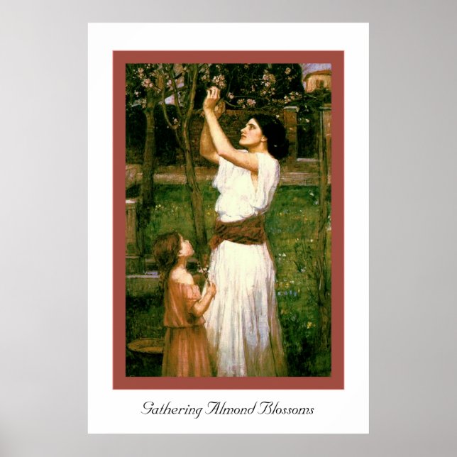 Póster Reunindo Amêndoas (Frente)