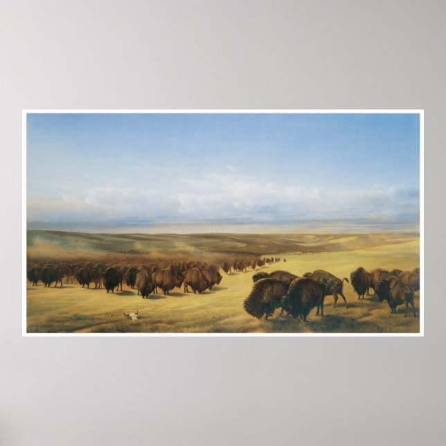 Póster Reunindo os Herds (Frente)