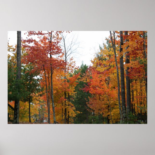 Póster Reunindo os permanentes (Frente)