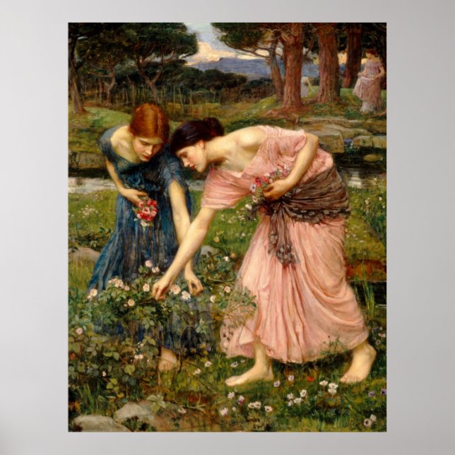 Poster Reunir Ye Rosebuds Em Maio De 1909 (Frente)