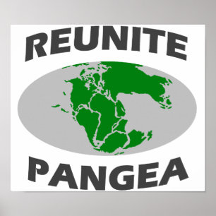 Póster Reunite Pangea
