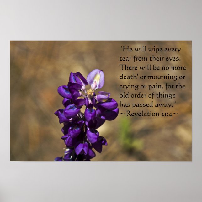 Poster Revelação 21:4 (Frente)