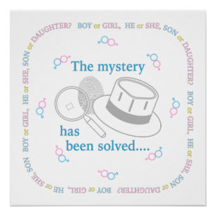 Póster Revelação do Sexo do Bebê