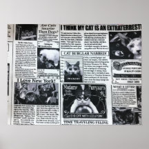 Revista de Gatos