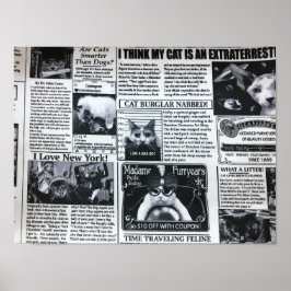 Poster Revista de Gatos