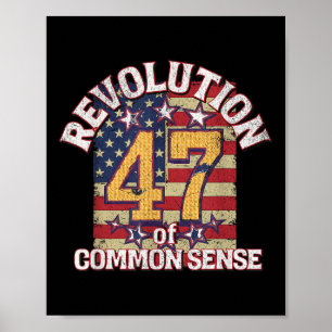 Poster Revolução Do Bom Senso 47 Presidente