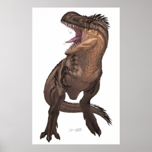 Poster Rex do tiranossauro