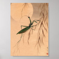 Rezando Mantis e a Lua Arte Japonesa. anos 1800
