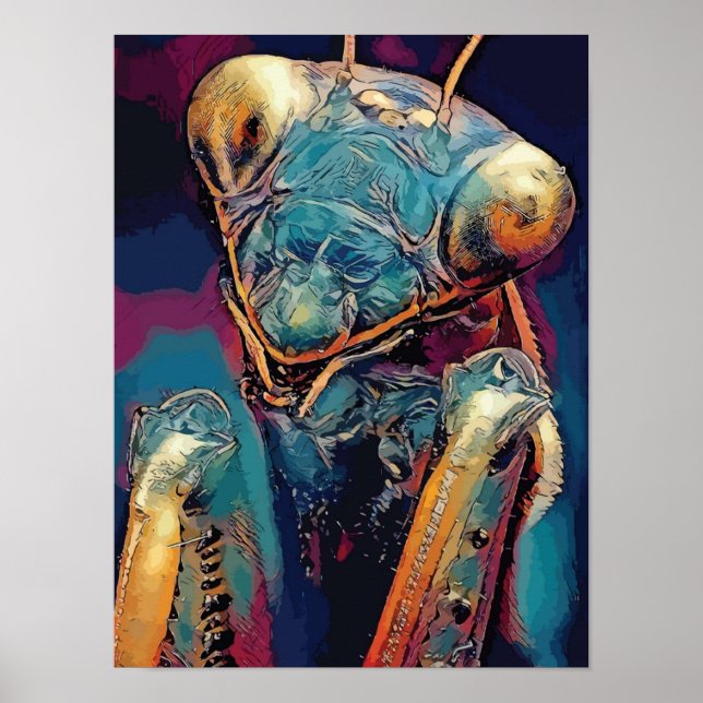 Poster rezando mantis mantisinsetos olhosMantis Orchid Pr (Frente)