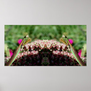 Poster Rezando Mantis Na Abstrato do Espelho de Flor do S