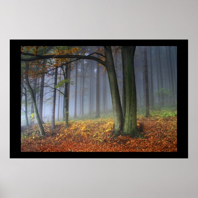 PÓSTER RGB (Frente)